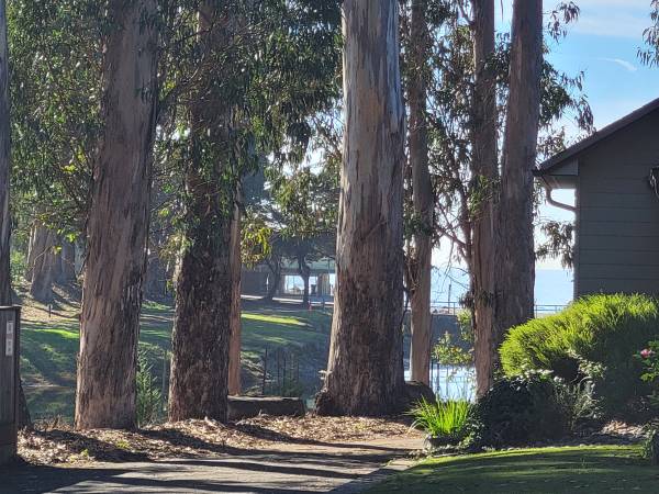 1BR/1BA Single Family House · Santa Cruz photo 2