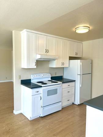 2BR/2BA Apartment · San Francisco photo 5