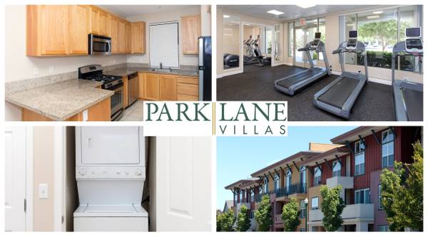 Apartments on Doubles Drive · Santa Rosa photo 3