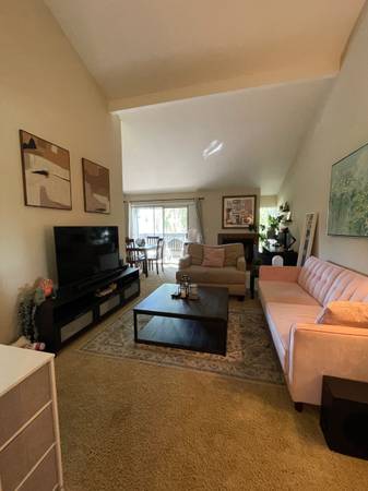 1BR/1BA Apartment · San Jose photo 2