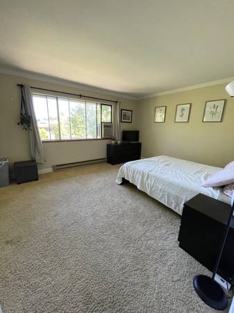 1BR/1BA Apartment · San Jose photo 5