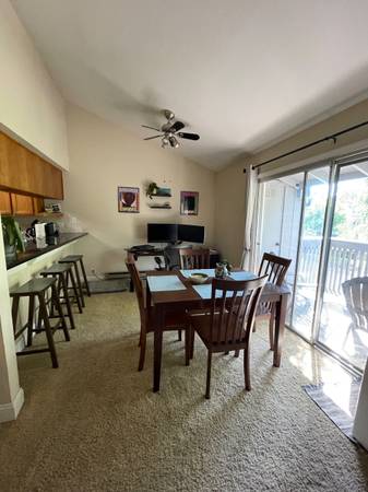 1BR/1BA Apartment · San Jose photo 3