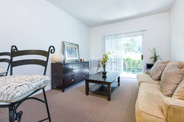 1BR/1BA Apartment · San Jose photo 2