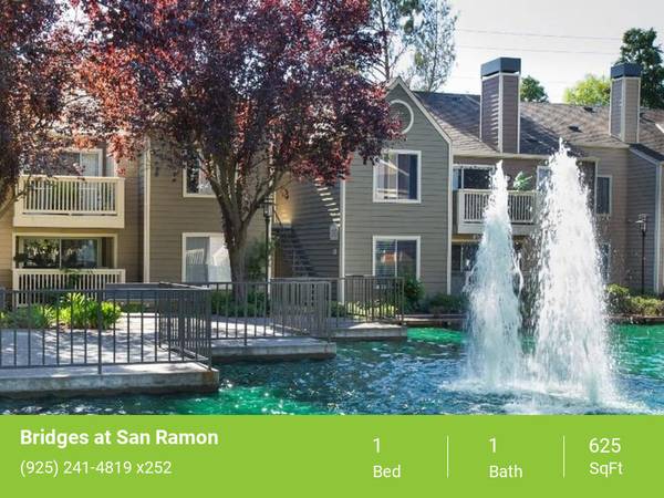 Apartments on Springfield Drive · San Ramon photo 5