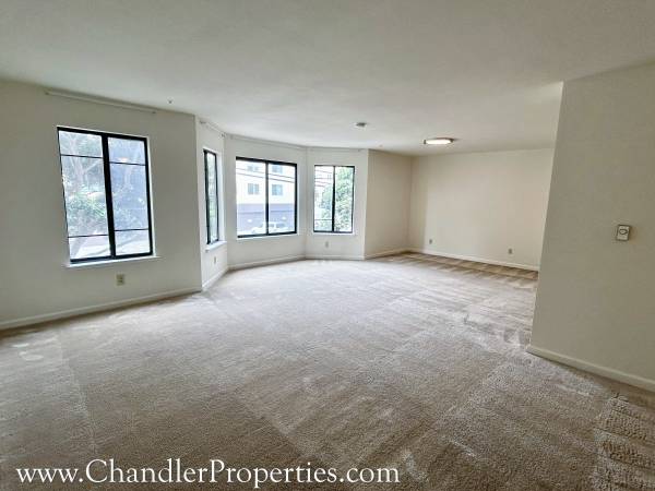 2BR/2BA Apartment on Vicente St · San Francisco photo 2