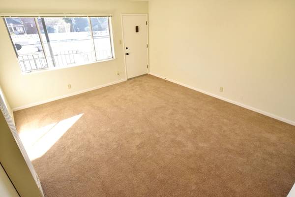 Roosevelt photo 4