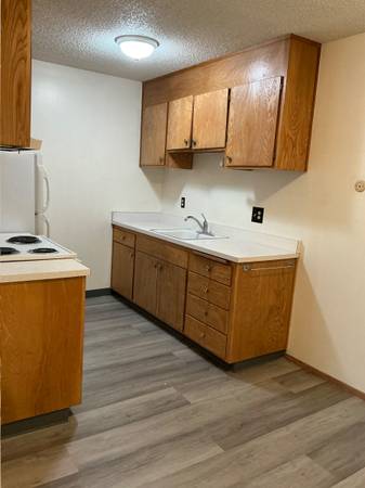 2BR/1BA Apartment on Haste St. · Berkeley photo 2