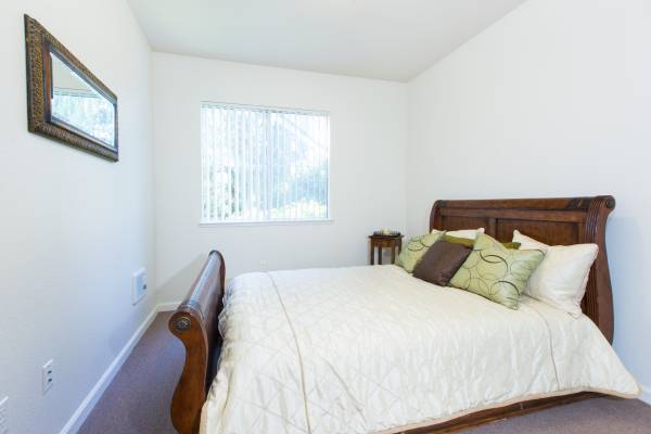 1BR/1BA Apartment · San Jose photo 4