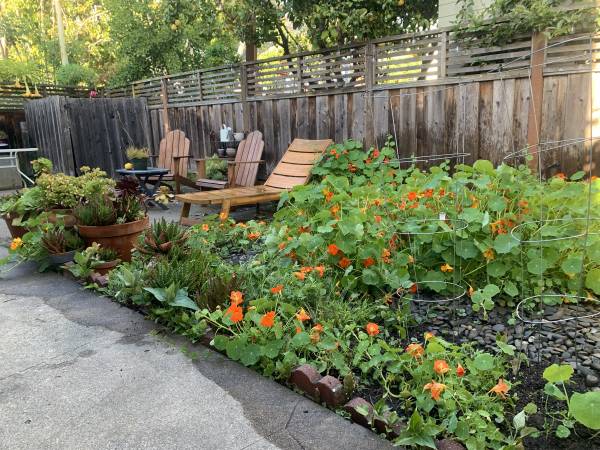 2BR/1BA Other · Oakland photo 3
