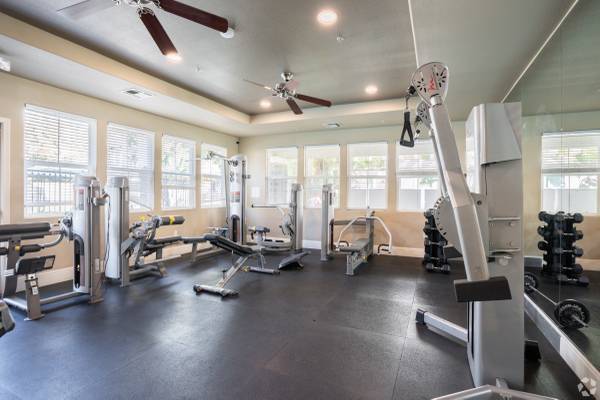 Apartments on Ivy Hill Way · San Ramon photo 2