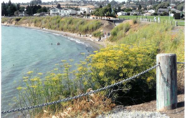 1BR/1BA In Law Adu · Port Costa photo 4