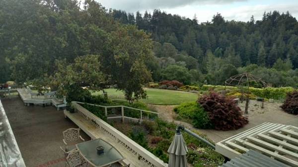 1BR/1BA Single Family House · Soquel photo 2