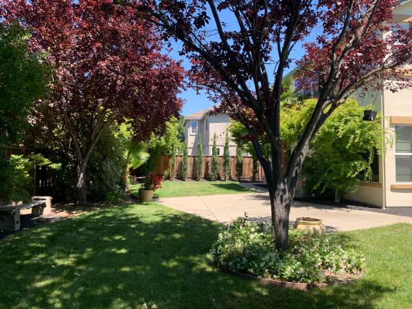 4BR/3BA Single Family House on Woodrose Way · Livermore photo 3