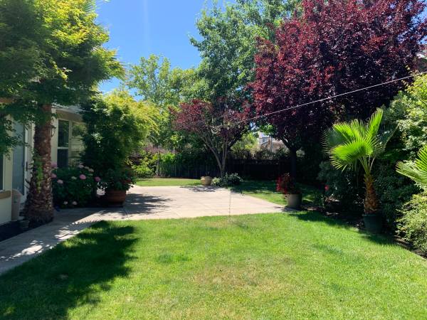 4BR/3BA Single Family House on Woodrose Way · Livermore photo 4