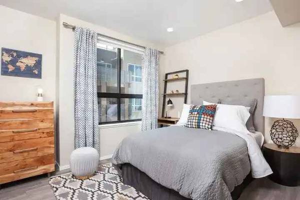 Avalon Dogpatch photo 2