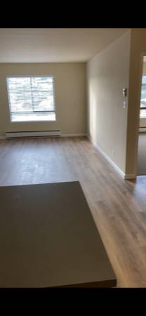 1BR/1BA Apartment · San Francisco photo 4
