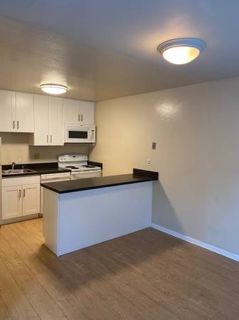 1BR/1BA Apartment · San Francisco photo 2