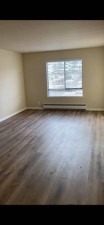 1BR/1BA Apartment · San Francisco photo 5