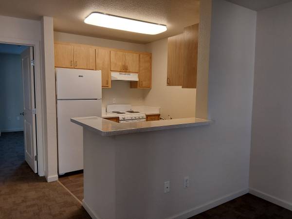 1BR/1BA Apartment on El Camino Real · Santa Clara photo 2