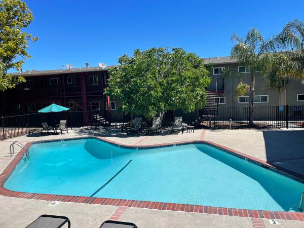 1BR/1BA Apartment · Sunnyvale photo 2