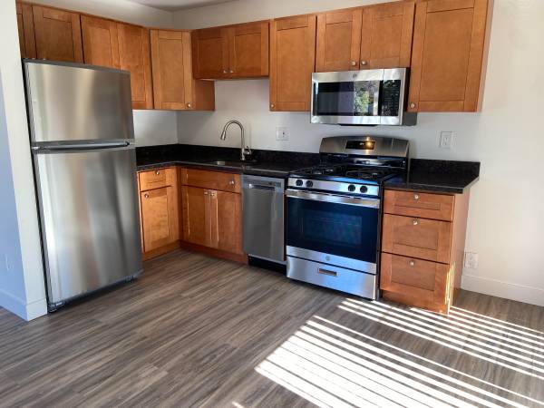 1BR/1BA Apartment · Sunnyvale photo 4