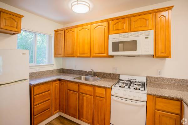 1BR/1BA Apartment · Sunnyvale photo 2