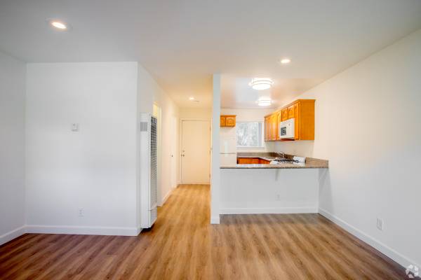 1BR/1BA Apartment · Sunnyvale photo 3