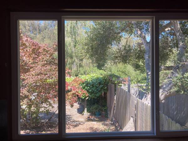 1BR/1BA Other · Freedom photo 5