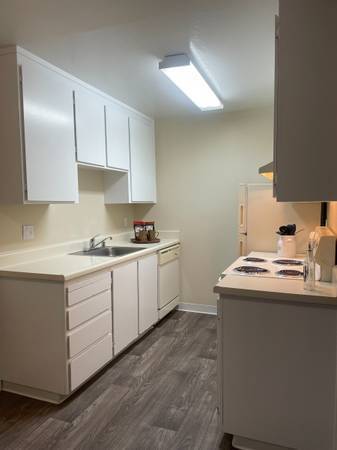 1BR/1BA Apartment on Branham Lane Near Dent Avenue · San Jose photo 3