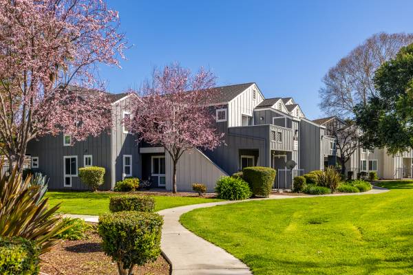 Villa Monterey photo 5