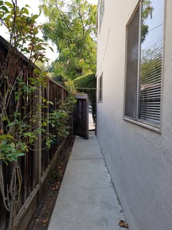 1BR/1BA Apartment · Mountain View photo 4