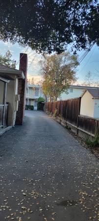 1BR/1BA Apartment · Mountain View photo 2