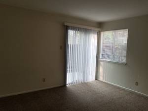 1BR/1BA Apartment · Mountain View photo 5