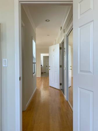 1BR/1BA Apartment · San Francisco photo 5