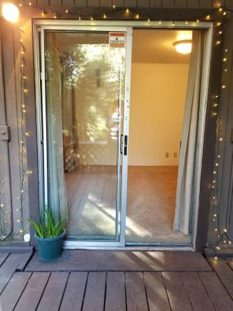 0BR/1BA Apartment · Felton photo 5