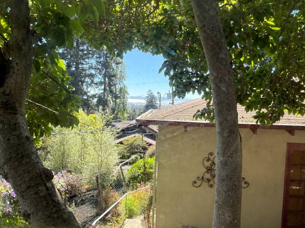 0BR/1BA Apartment · Berkeley photo 4