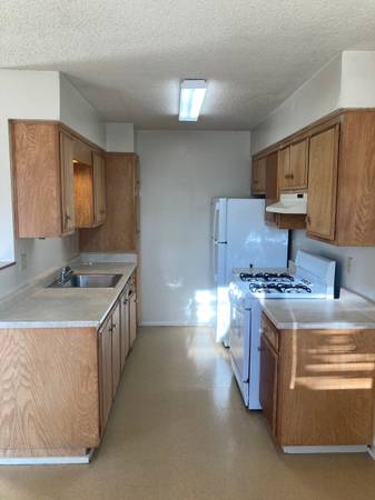 1BR/1BA Apartment · Concord photo 3