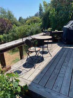 1BR/1BA In-Law · Sebastopol photo 3