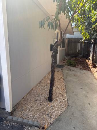 2BR/1BA Apartment · Cloverdale photo 2