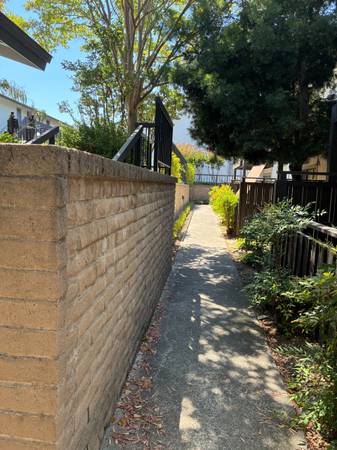 1BR/1BA Condo · Walnut Creek photo 3