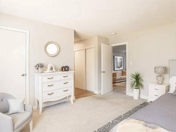 Elevate Apartment Homes photo 5