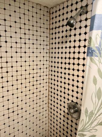 1BR/1BA In-Law · Redwood City photo 5
