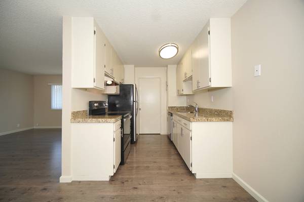 1256 Balboa Court photo 5