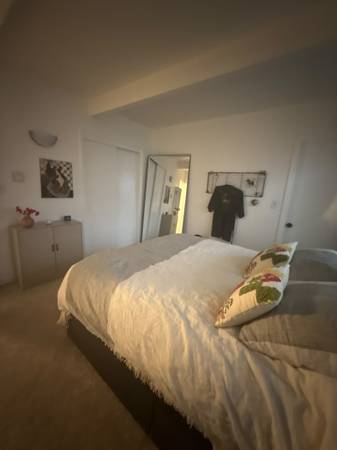 180 Miller Avenue, Mill Valley, CA 94941 photo 5