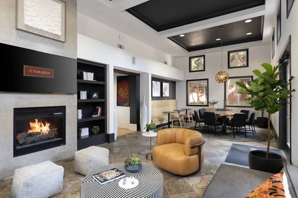 1BR/1BA Flat · Sunnyvale photo 5