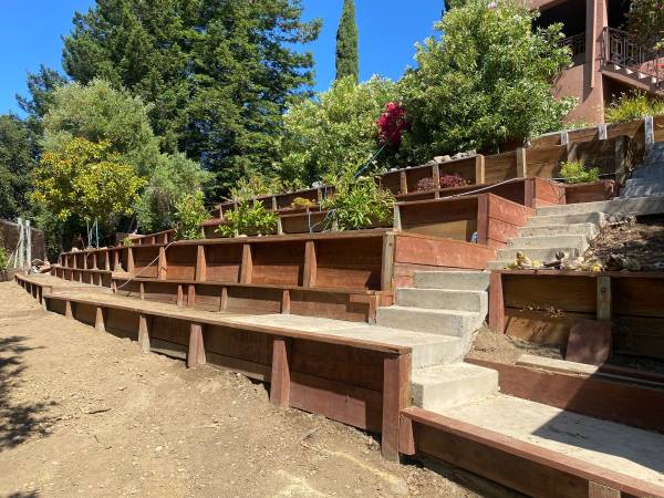 1BR/1BA In Law Adu · Berkeley photo 2