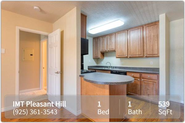 1BR/1BA Apartment on Coggins Drive · Walnut Creek photo 4