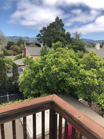 1BR/1BA In Law Adu on Shafter · Oakland photo 2
