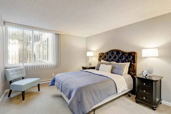 Shoreline Apartments photo 2