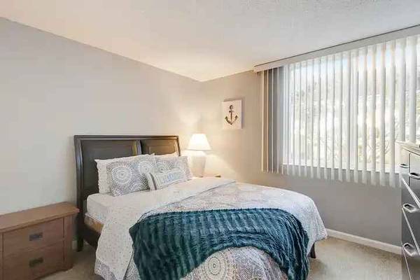 Shoreline Apartments photo 4